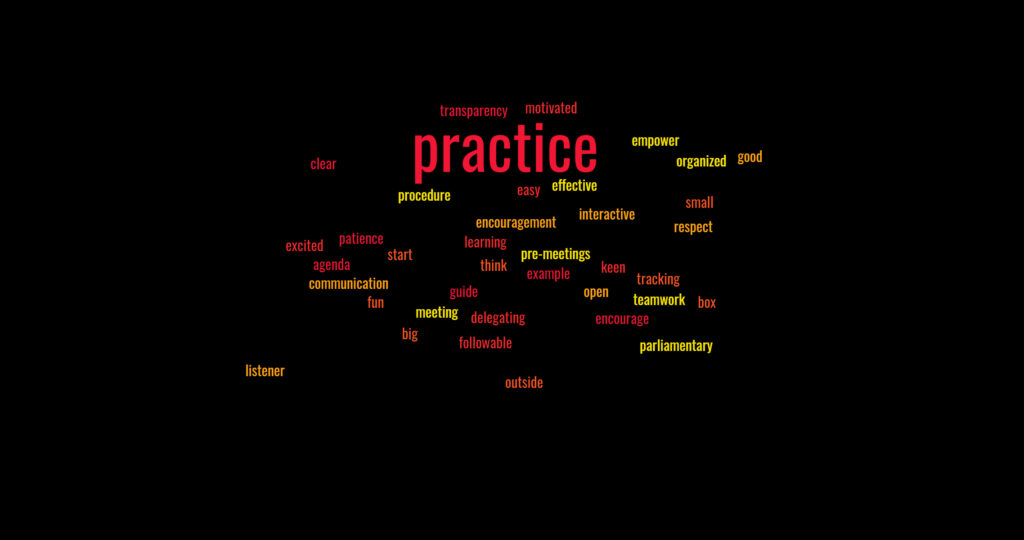 a word cloud with text: transparency, motivated, clear, practice, empower, organized, good, procedure, easy, effective, small, encouragement, interactive, respect, excited, learning, start, agenda, pre-meetings, think, keen, example, communication, guide, tracking, open, teamwork, box, meeting, delegating, encourage, big, followable, listener, outside, parliamentary